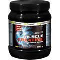 MUSCLE Creatine Pulver