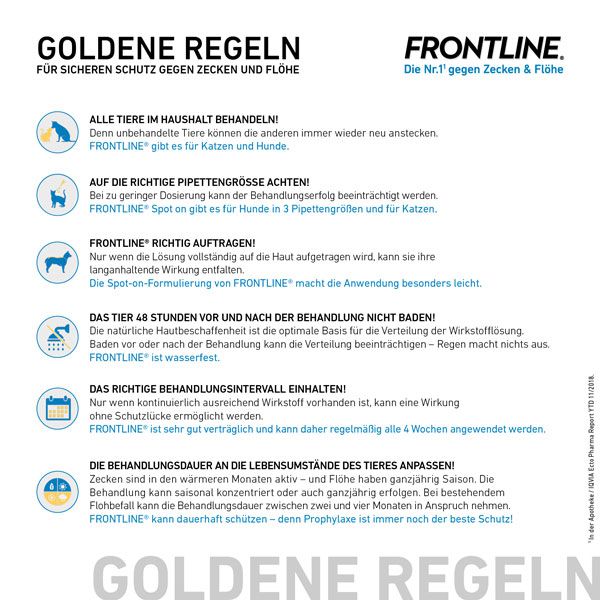 Frontline goldene Regeln